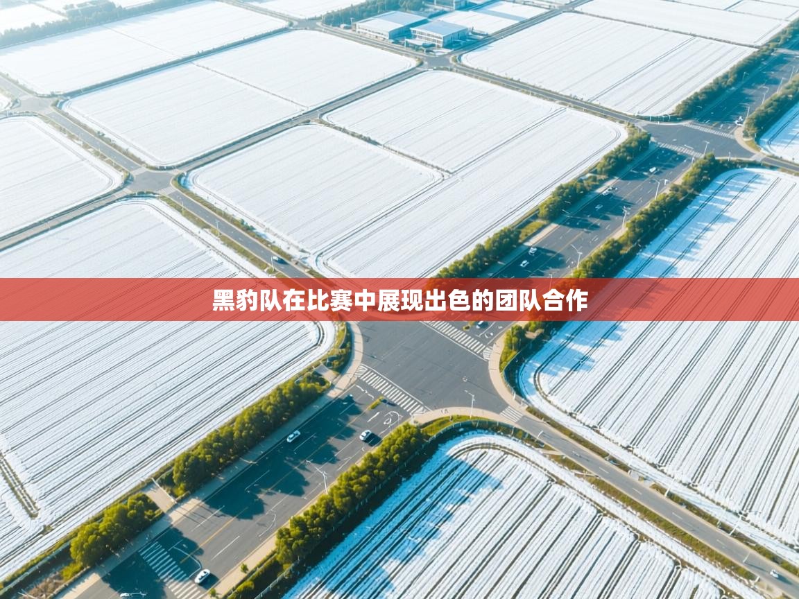 黑豹队在比赛中展现出色的团队合作 第2张